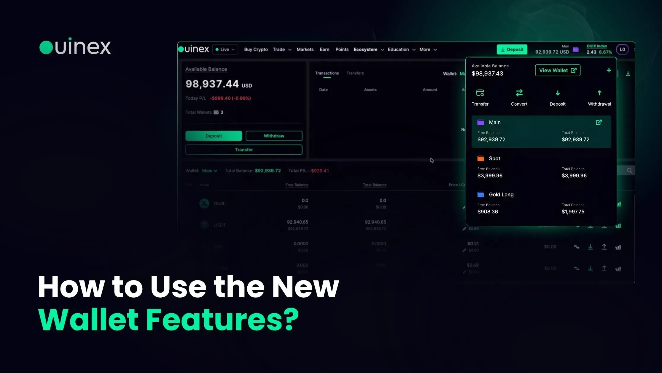 Cómo usar las nuevas funciones de la billetera de Ouinex — portada de Ouinex Academy