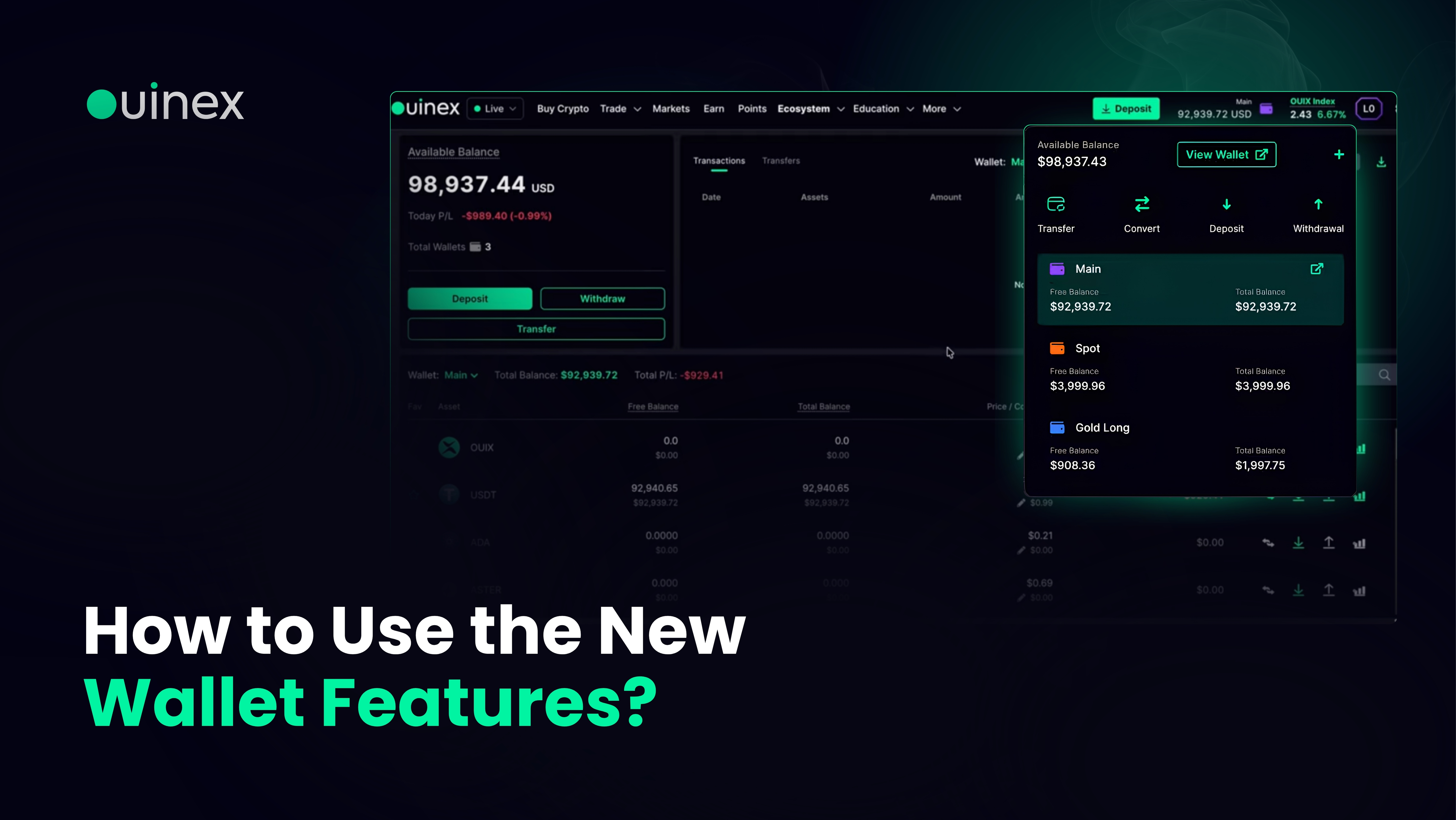 How to Use the New Wallet Features — banner