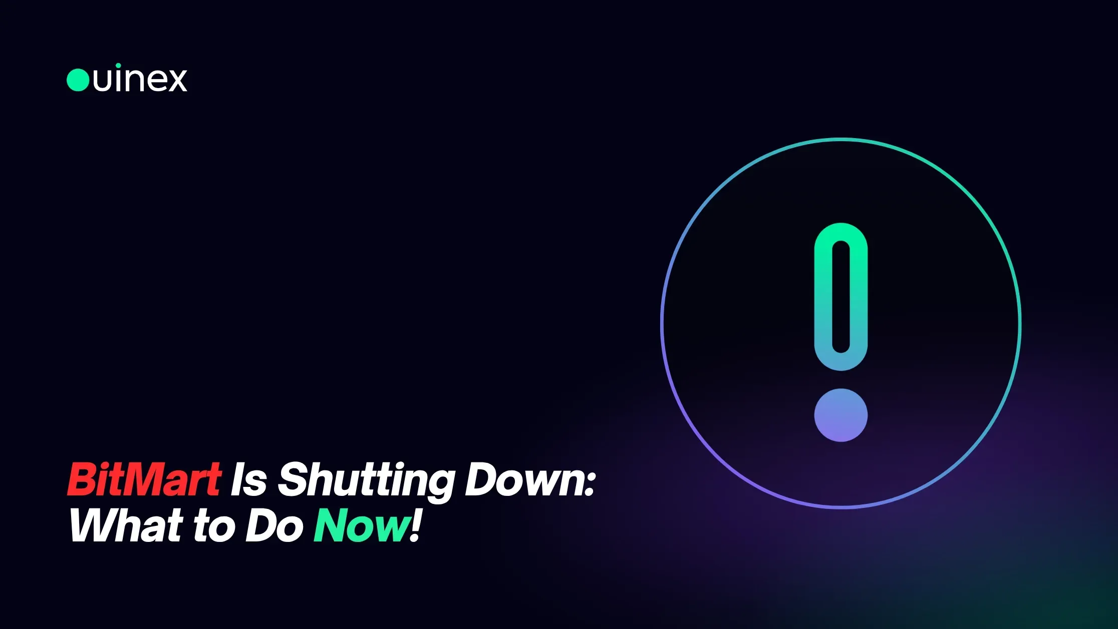BitMart Is Shutting Down What to Do Now