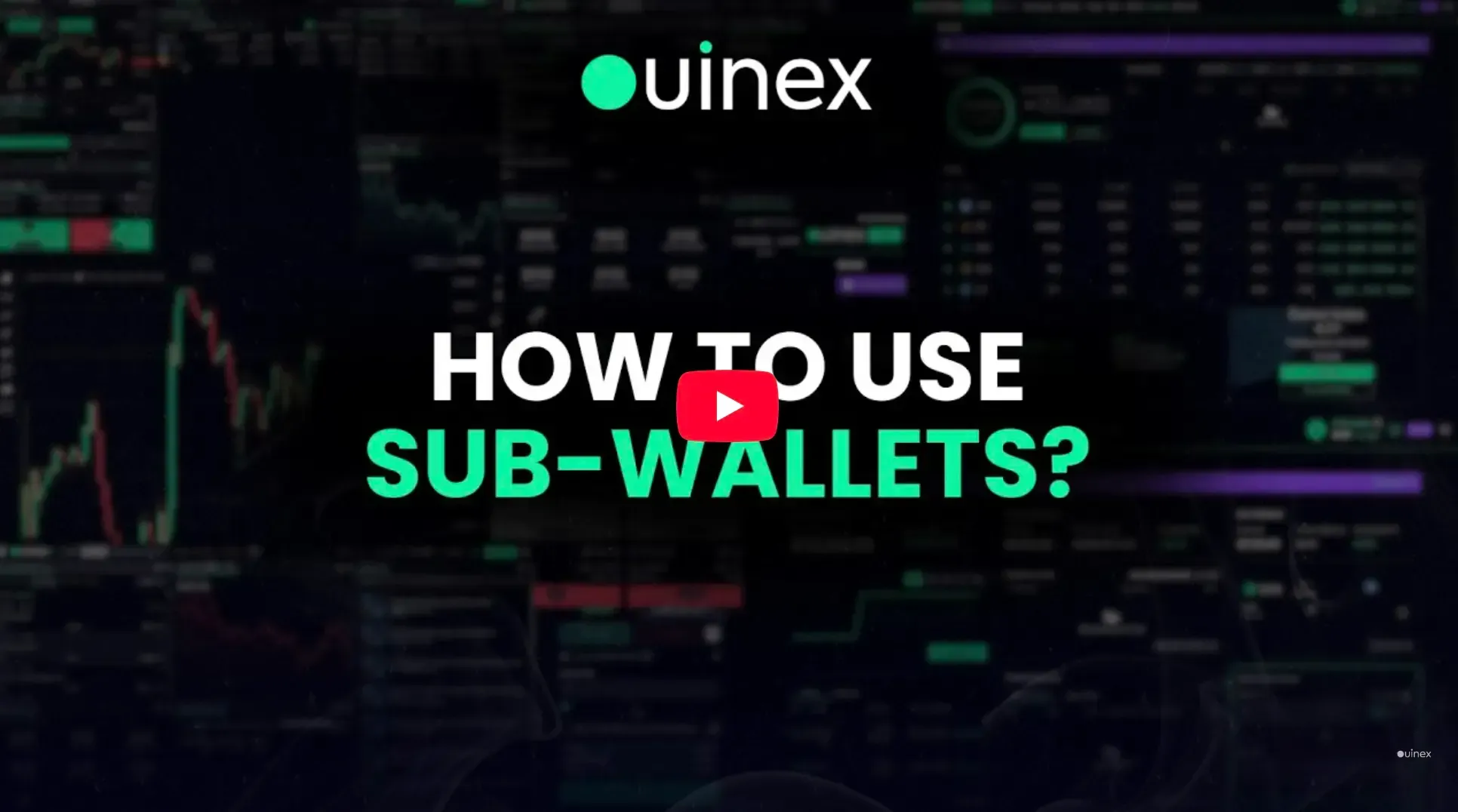 How to Use Sub-Wallets on Ouinex: A Guide to Advanced Trade Management