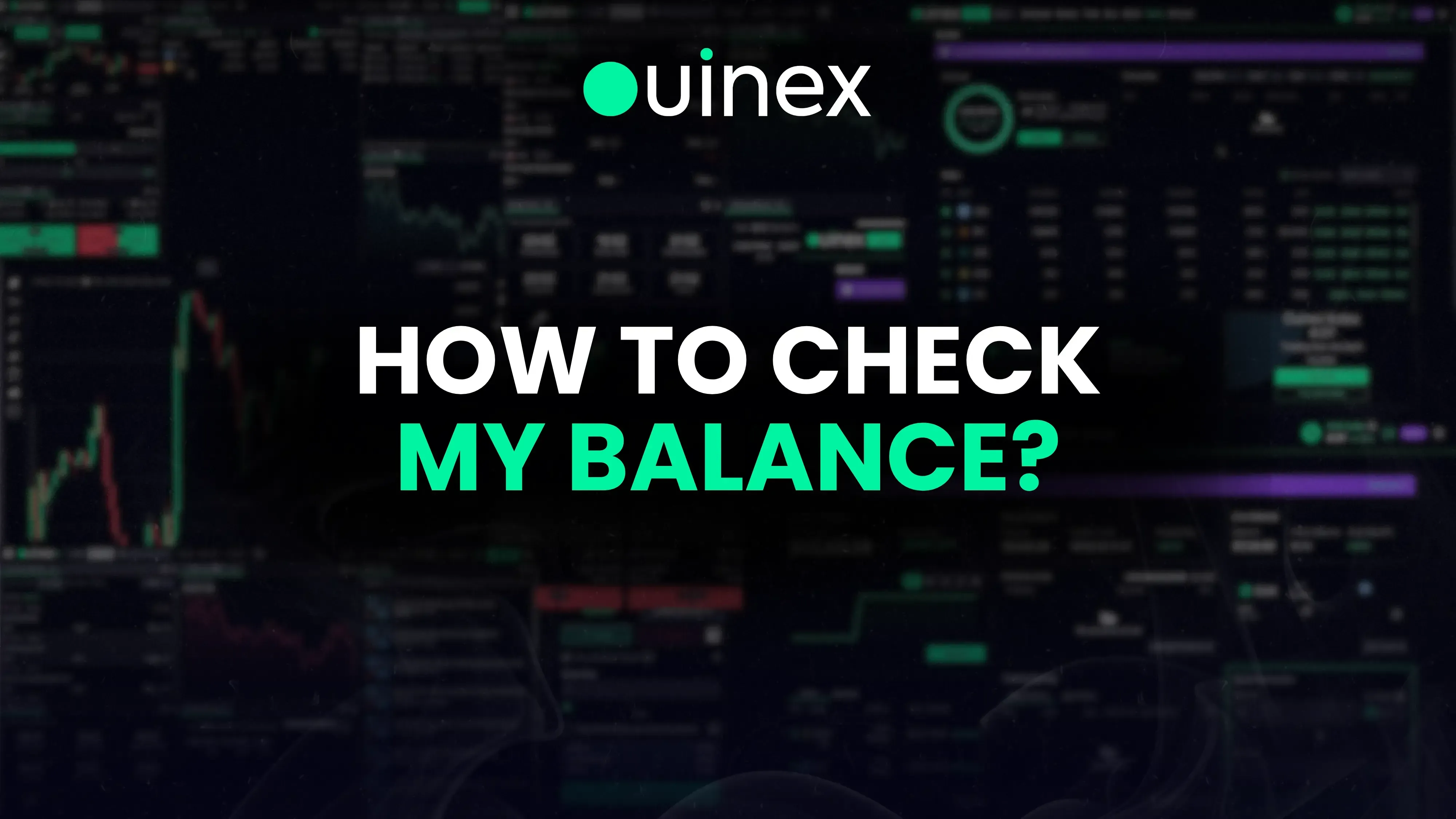 How to check my balance on Ouinex?