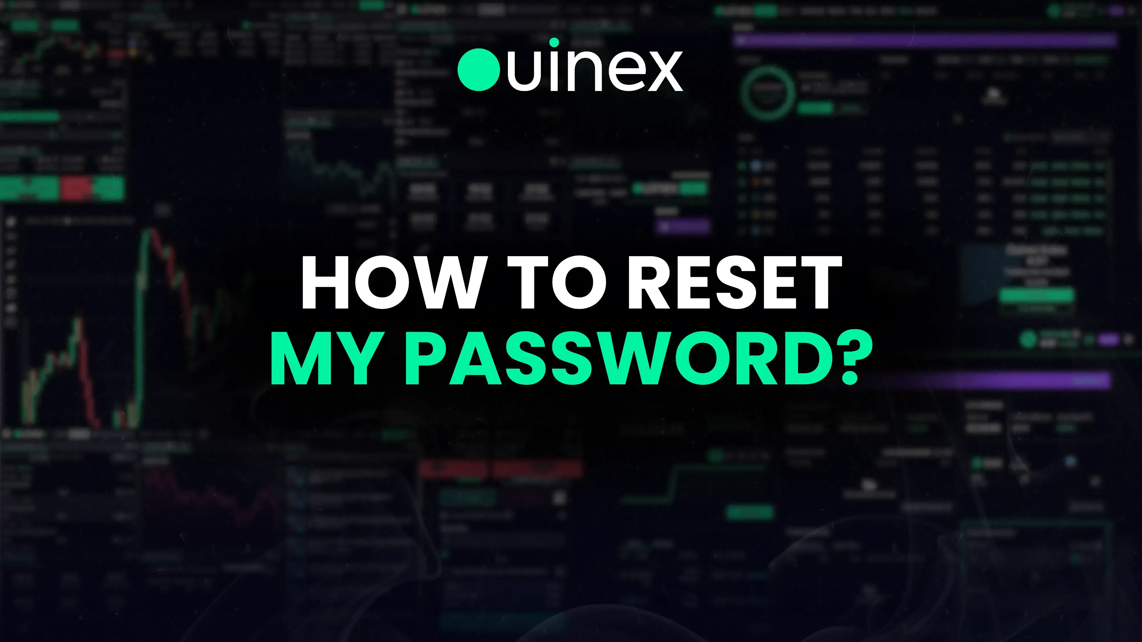 How to reset your password on Ouinex?