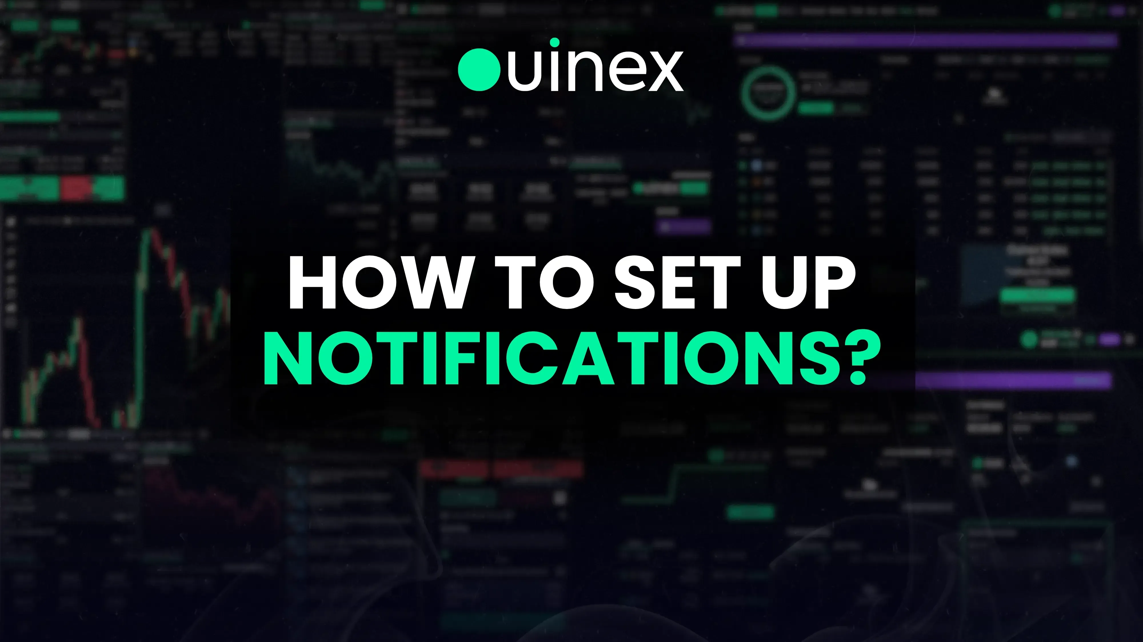 How to set up notifications on Ouinex?