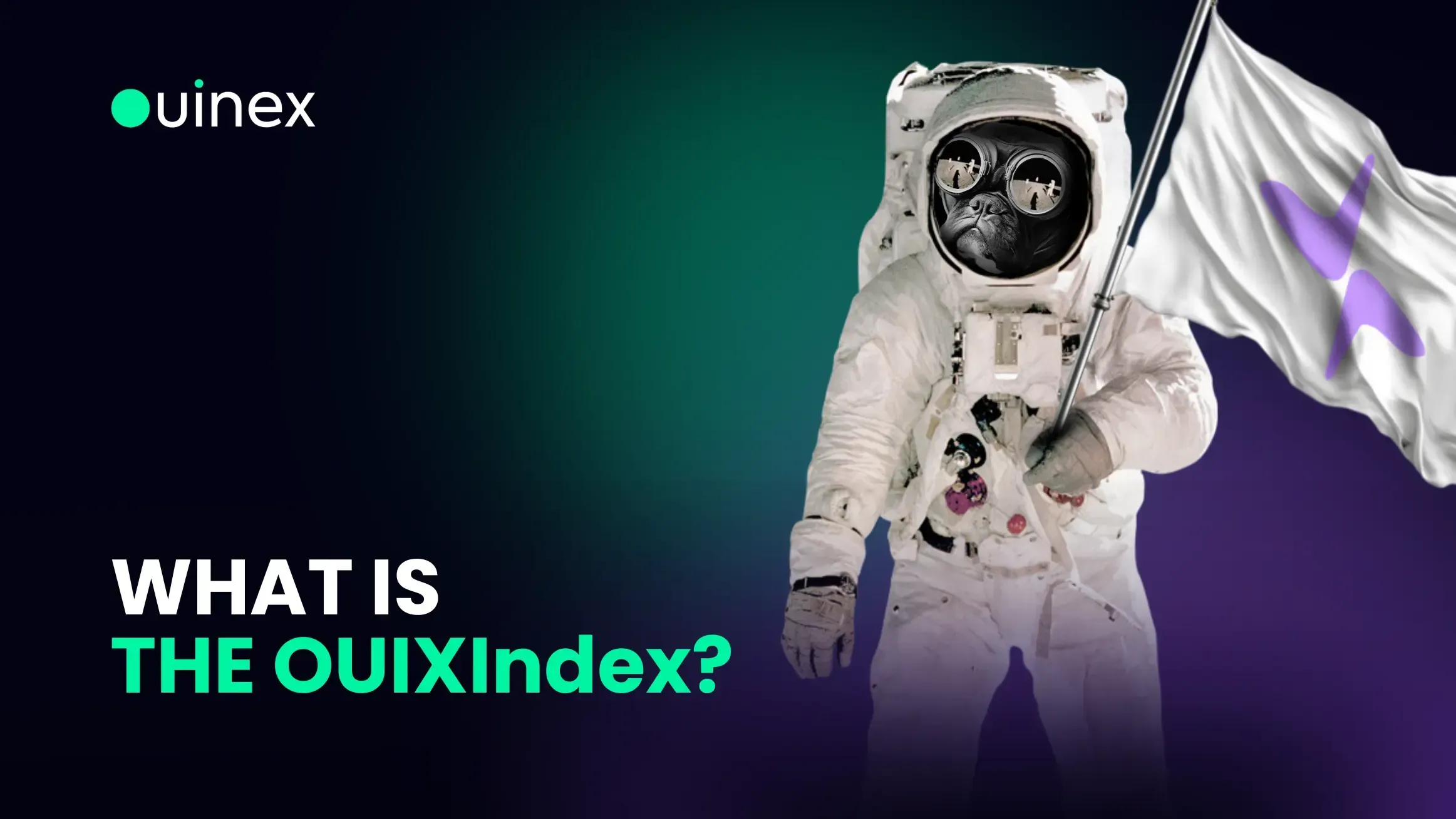 What Is the OUIXIndex?