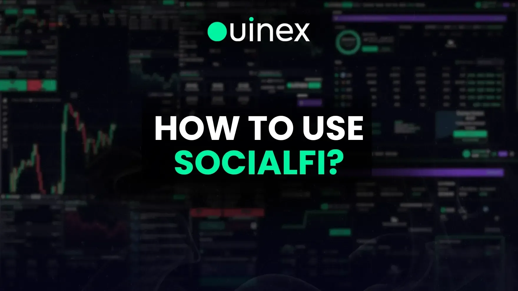 How to Use SocialFi on Ouinex?