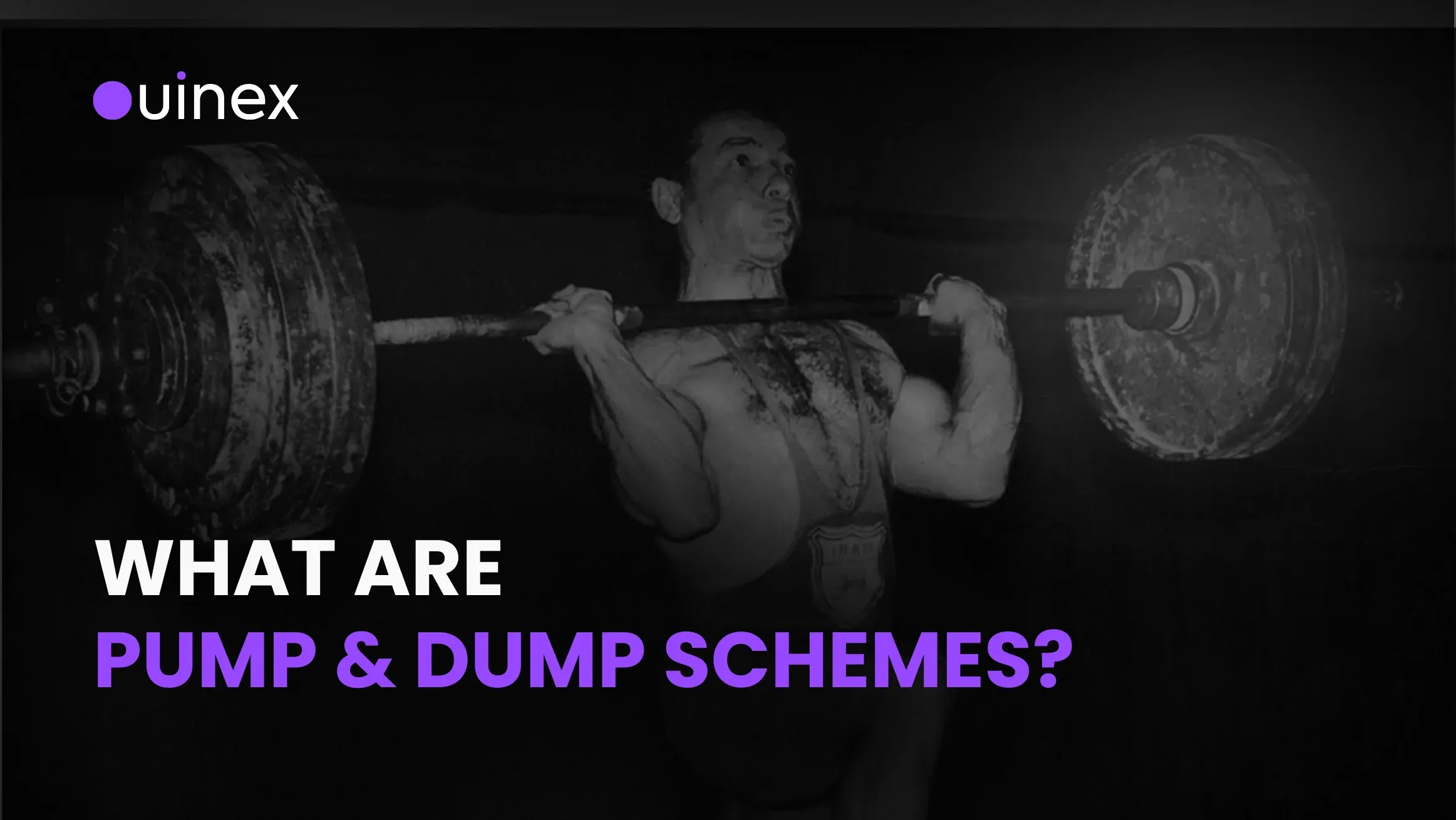 Pump and Dump Schemes in Crypto