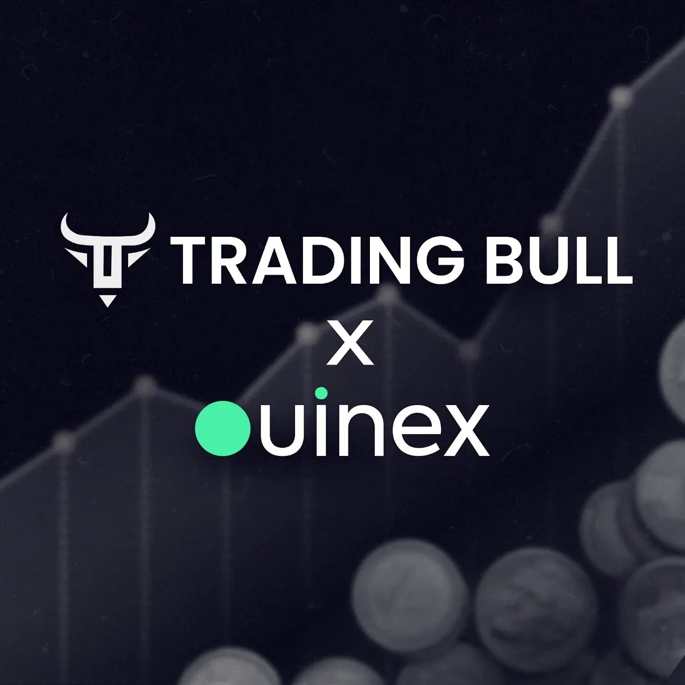 Trading Bull x Ouinex