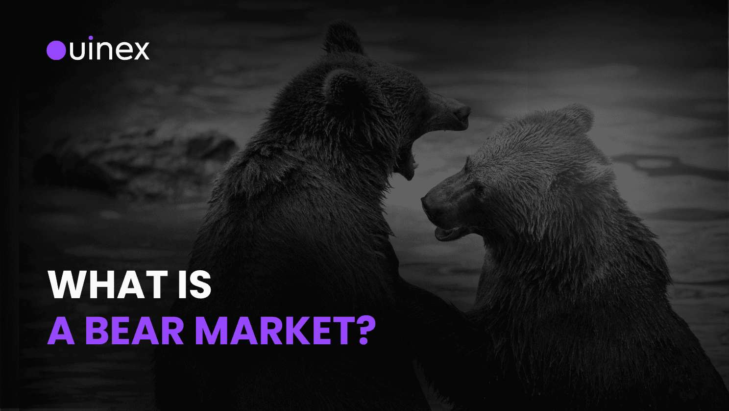 What Is a Bear Market and How to Profit From It!
