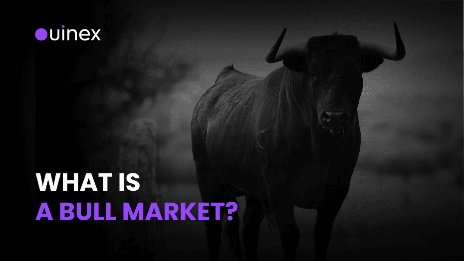 How To Profit From a Bull Market