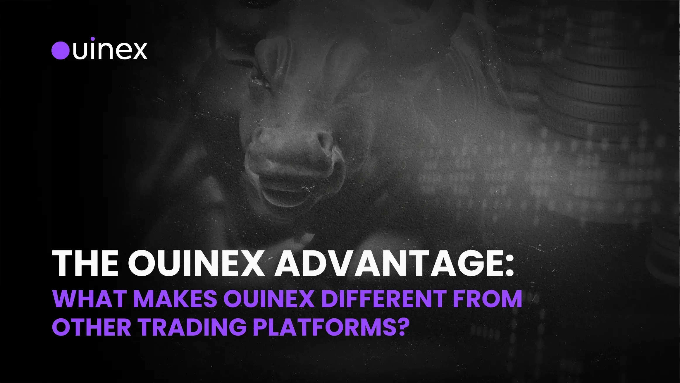 What Is the Ouinex Advantage Over Other Platforms?