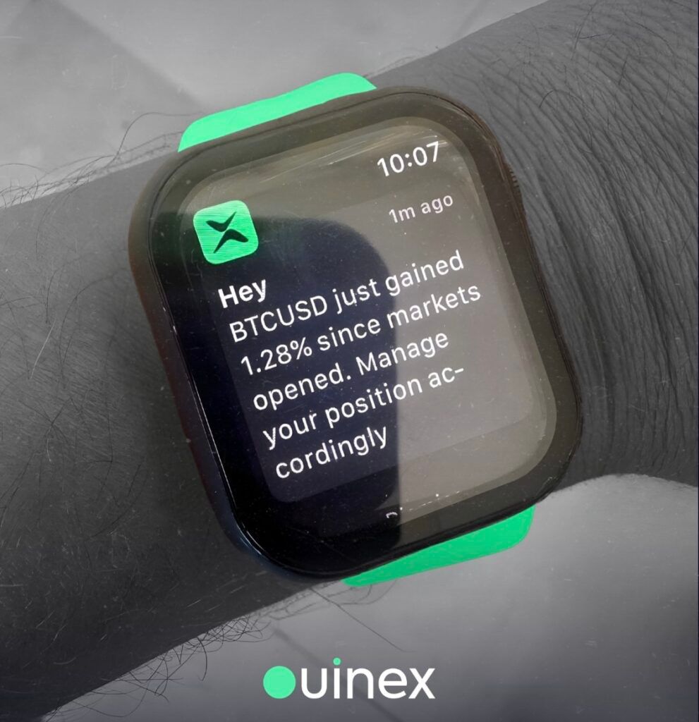 Ouinex watch