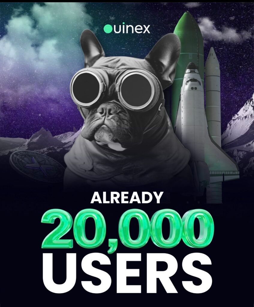 Ouinex dog